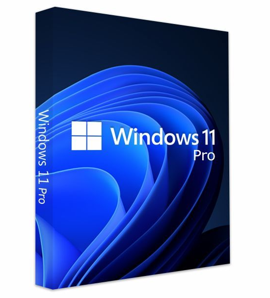 Microsoft Windows 11 Pro TR (OEM) FQC-10556